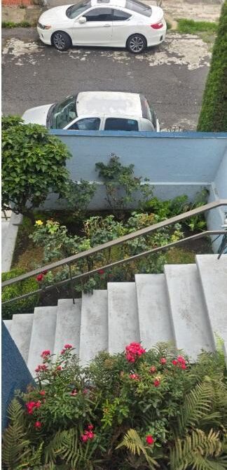 escalera