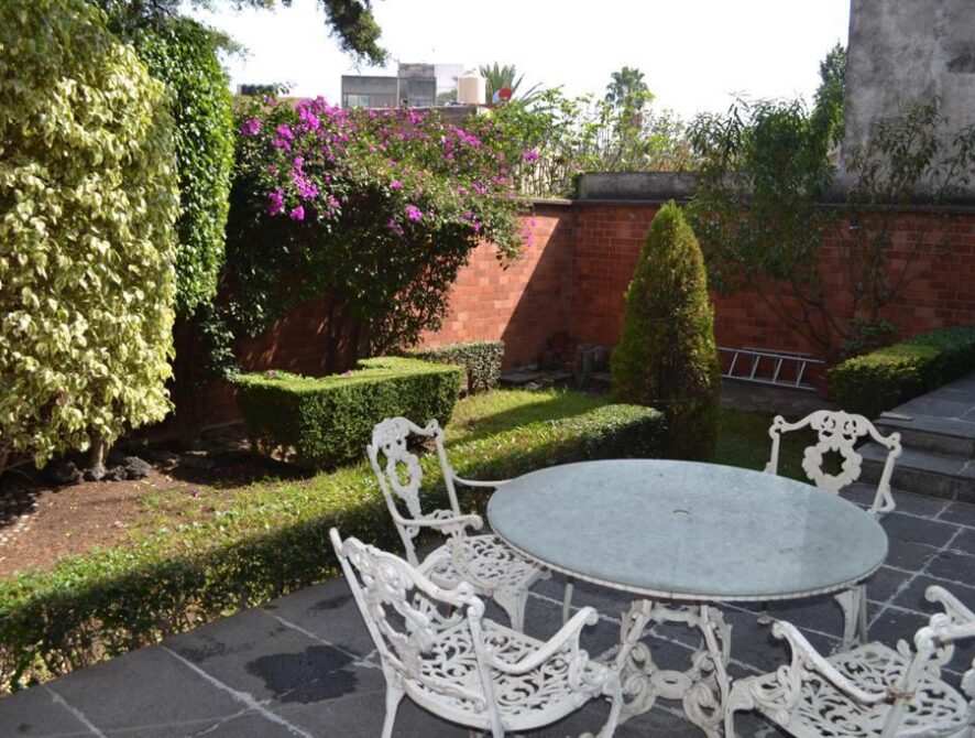 jardin 2