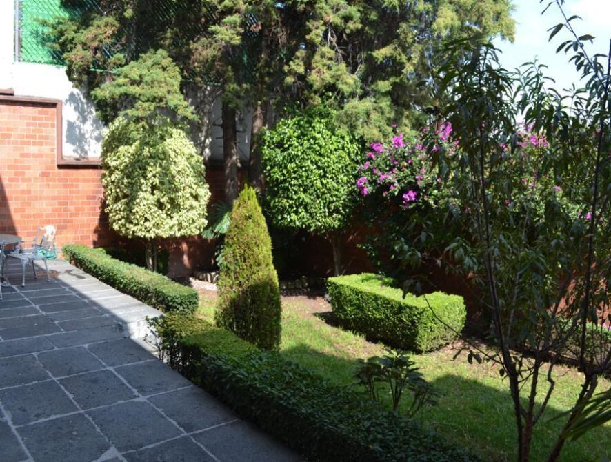 jardin 3