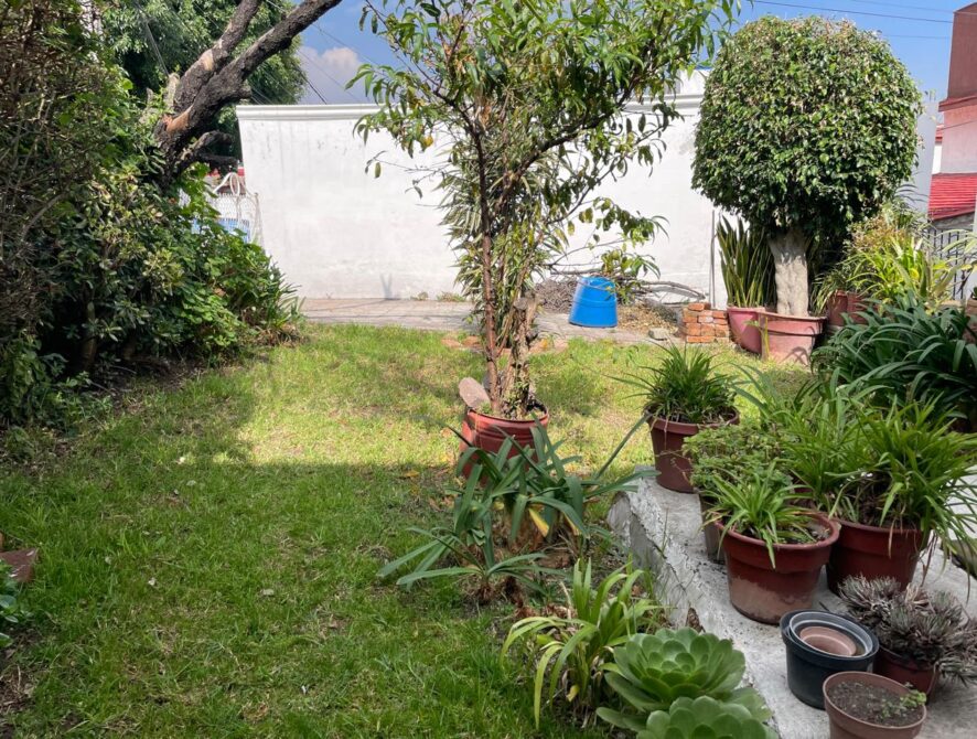 patio lomas de