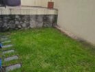 patio trasero 2