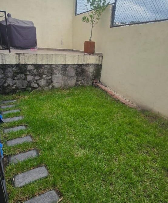 patio trasero 2