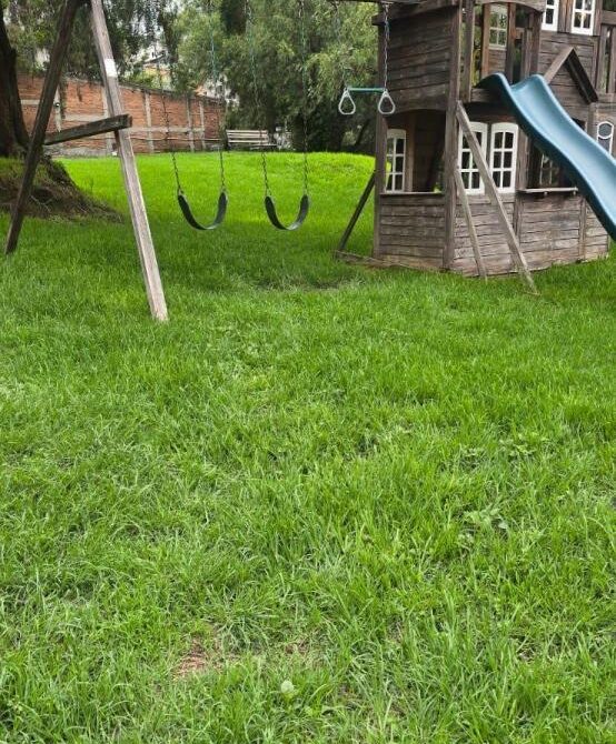 patio trasero 3