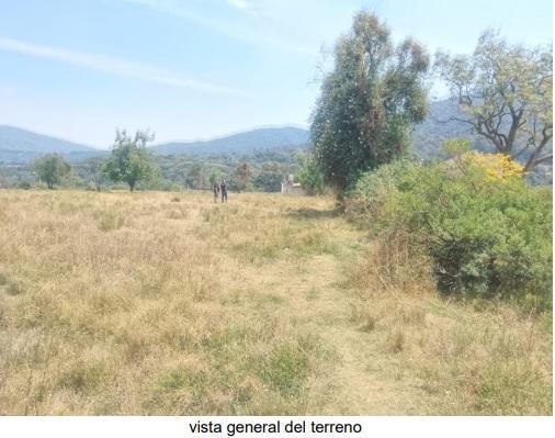 terreno