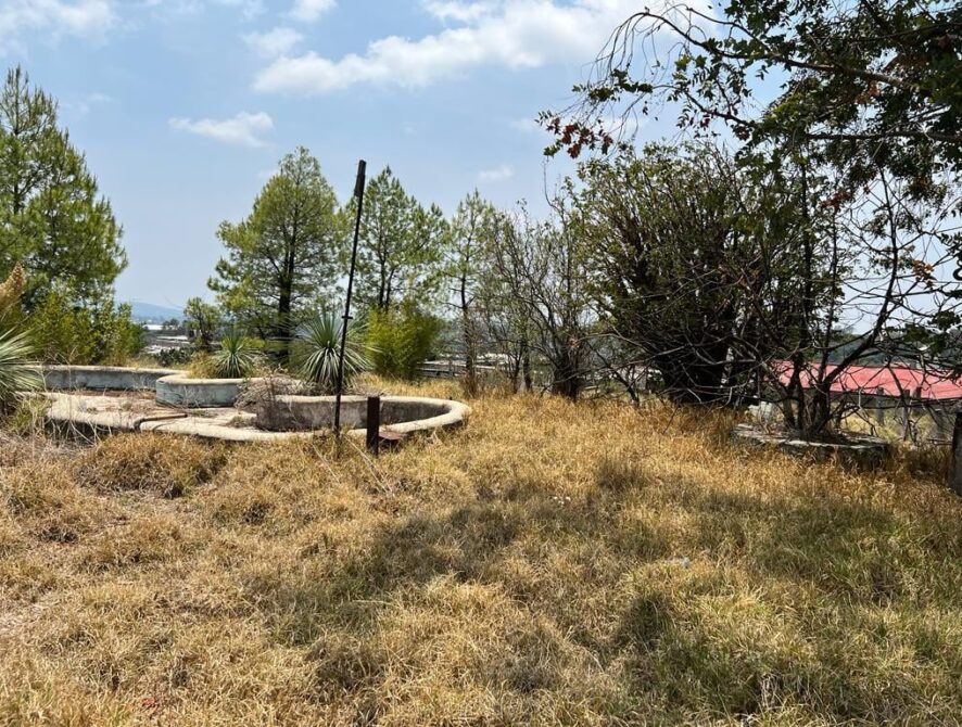 terreno 5