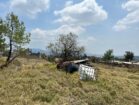 terreno 6