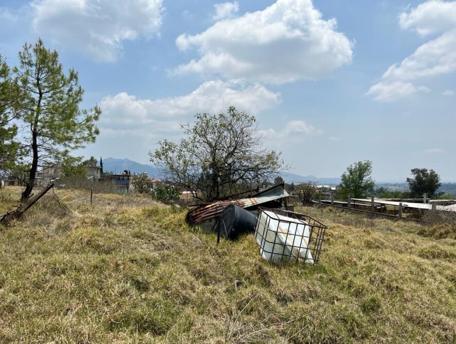 terreno 6