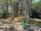terreno 7