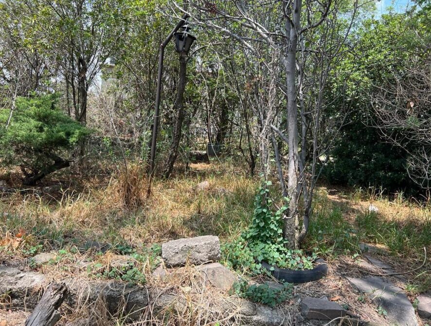 terreno 7
