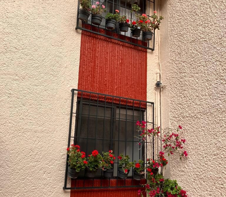 ventanas